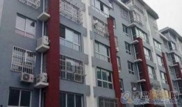 馨河湾小区孩子最新爆料,揭秘小区神秘事件真相